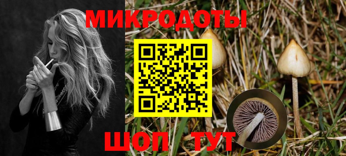Галлюциногенные грибы Magic Shrooms  Невинномысск 