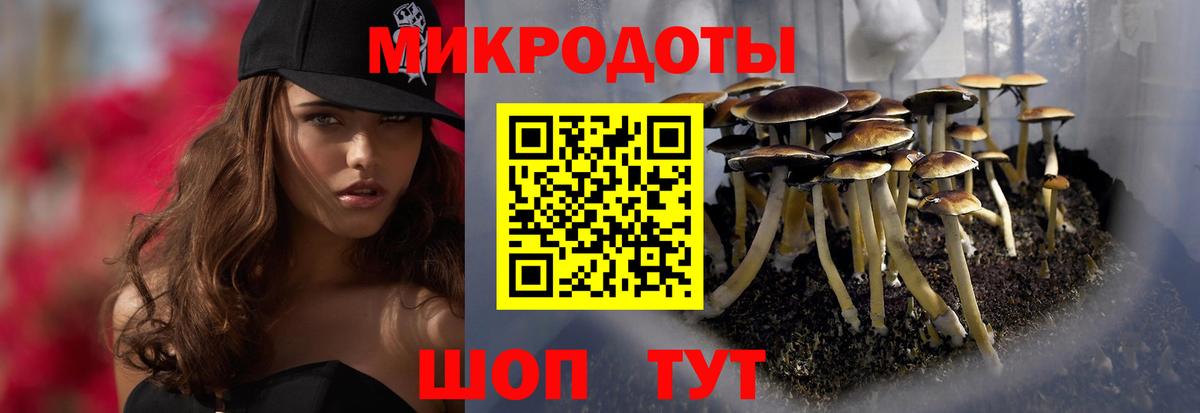Псилоцибиновые грибы GOLDEN TEACHER  Галлюциногенные грибы Magic Shrooms  Вход с VPN  Невинномысск 